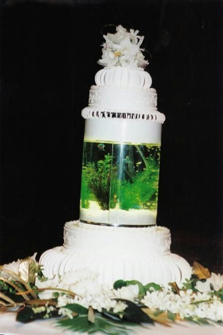 aquarium-wedding-cake.jpg