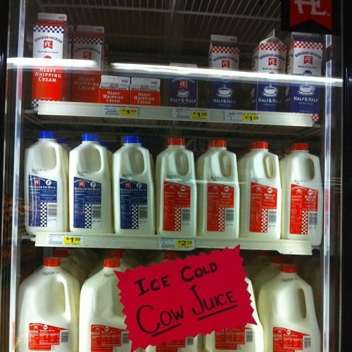 ice-cow-juice.jpg