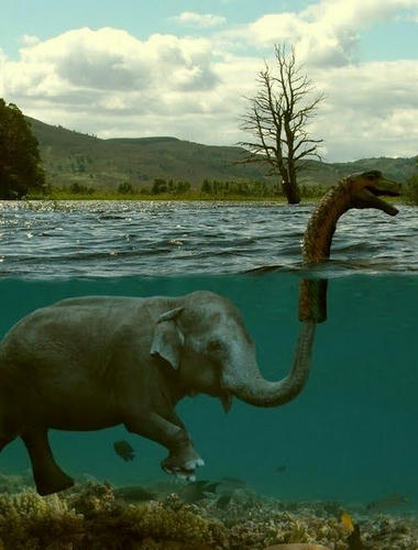 the-truth-of-nessie.jpg