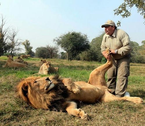 massage-for-lions.jpg