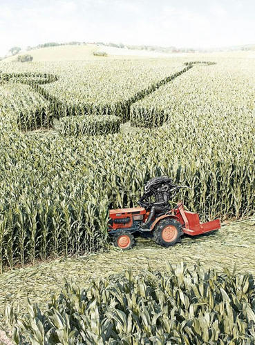 crop-circles-the-truth.jpg