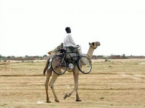 a-camel-is-better-than-a-bike.jpg