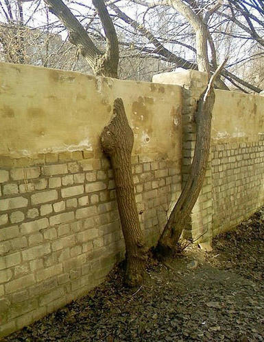 the-zatsu-at-middleeast.jpg