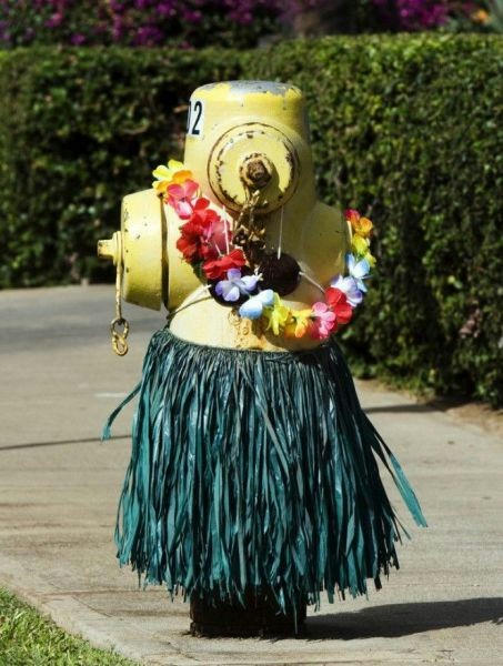 Hula-dancer.jpg