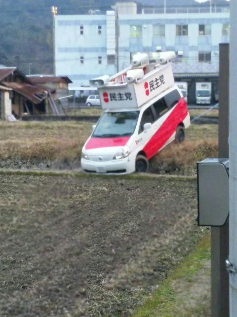mini-mushi-car.jpg