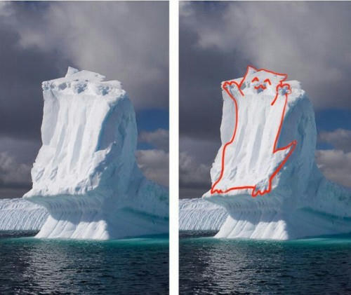 the-north-pole-cat.jpg