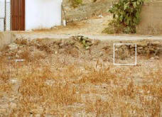 an-answer-for-can-you-find-a-hidden-cat.jpg