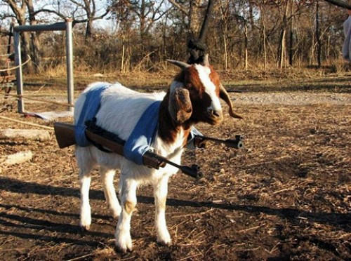 future-guncanon.jpg