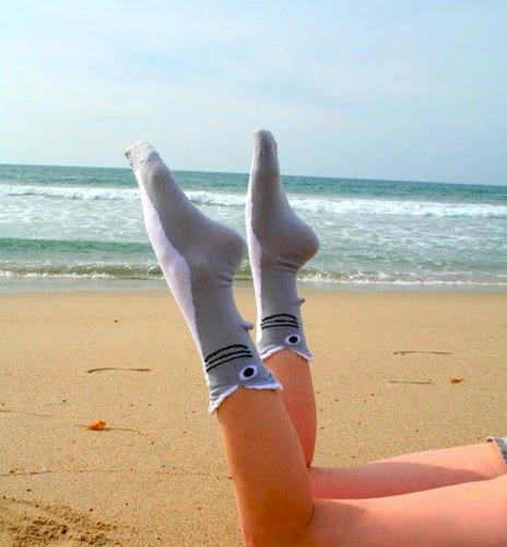shark-socks.jpg