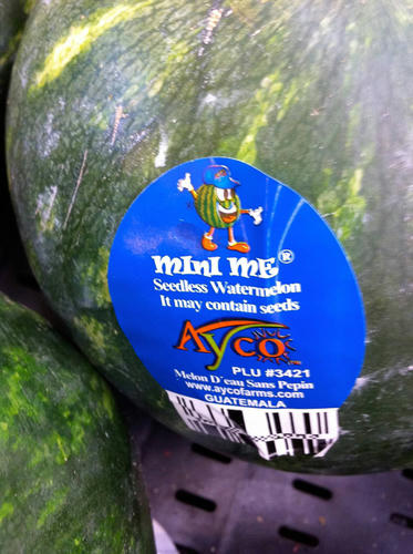seedless-watermelon-may-contain-seeds.jpg