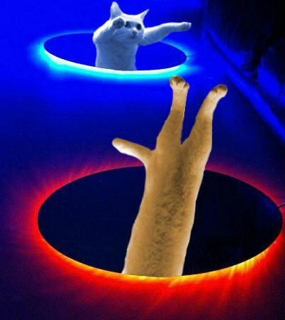 nukogami-the-longcat-warpgates.jpg