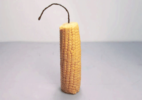 how-to-make-popcorn.gif
