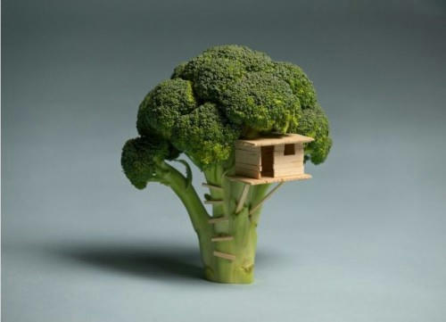 green-tree-house.jpg