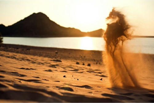 sand-seahorse.jpg