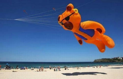 flying-orange-bear.jpg