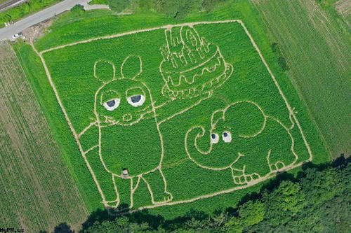 kawayusu-geoglyph.jpg