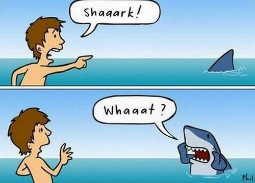 shark-2koma-manga.jpg