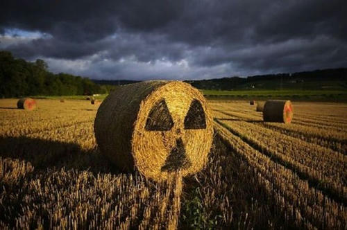radiation-contaminated-straws.jpg