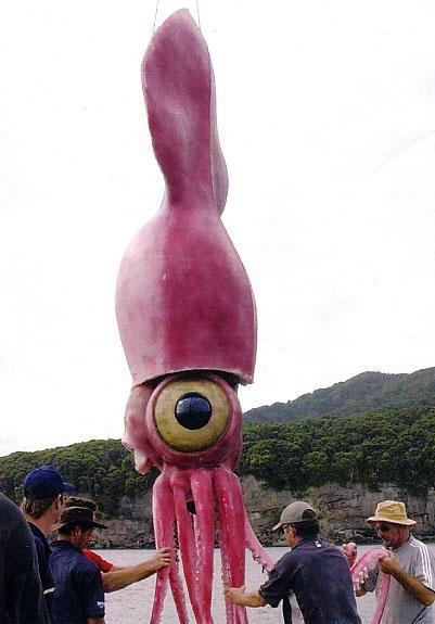 oi-kitaro.jpg