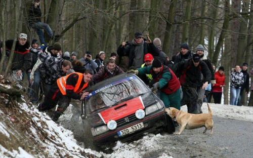 a-dog-helps-a-rally-car.jpg