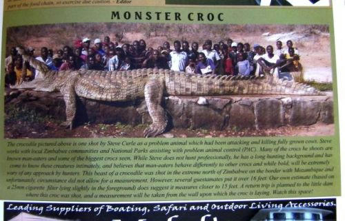 monster-croco.jpg