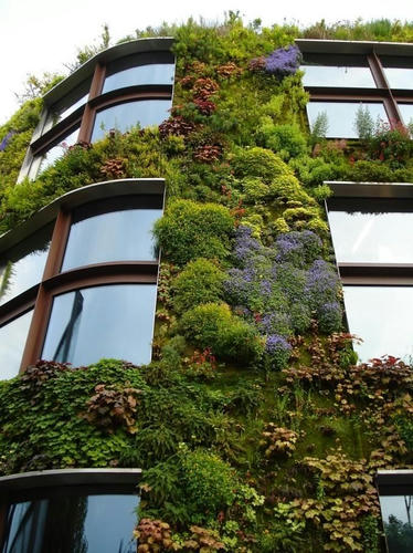 the-nature.jpg