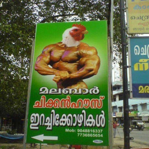 an-indian-chiken.jpg
