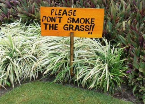 do-not-smoke-the-grass.jpg