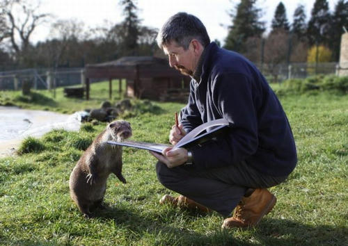 otter-reading.jpg