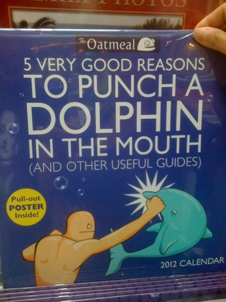 reasons-for-punching-a-dolphin.jpg