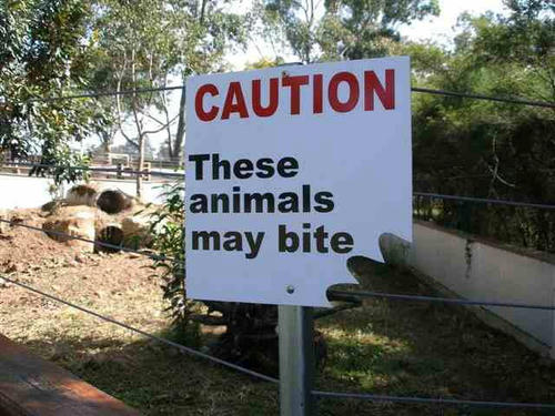 animals-bites.jpg