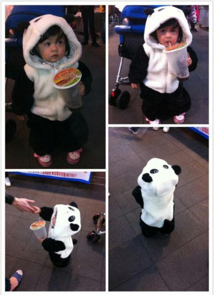 chibi-panda.jpg