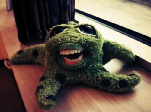 starfish-smiling.jpg