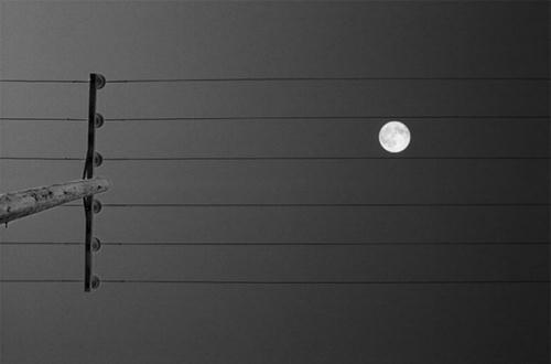 the-moon-on-the-score.jpg