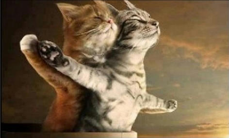 catanic.jpg