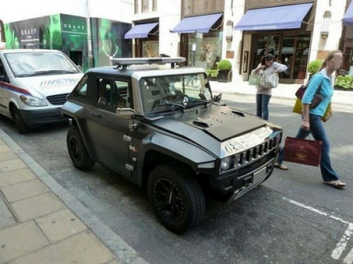 mini-hummer.jpg