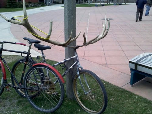 kyoufu-no-shika-bike.jpg
