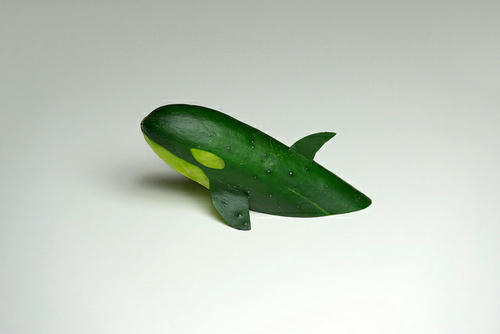 a-killer-whale-cucumber.jpg