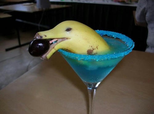 Dolphine-Margarita.jpg