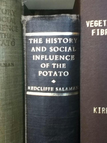 potato-rules-the-world.jpg
