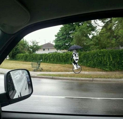 an-unicycle-stormtrooper-in-rainyday.jpg