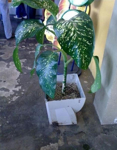 an-old-monitor-pod.jpg