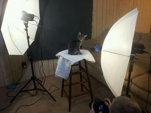 super-nuko-shooting.jpg