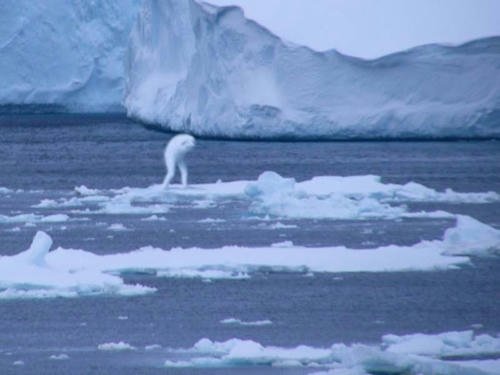 chotto-toorimasuyo-in-the-north-pole.jpg