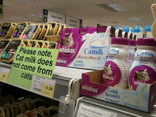 cat-milk.jpg