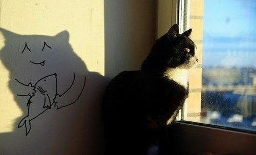 a-cat-shadow-lives.jpg