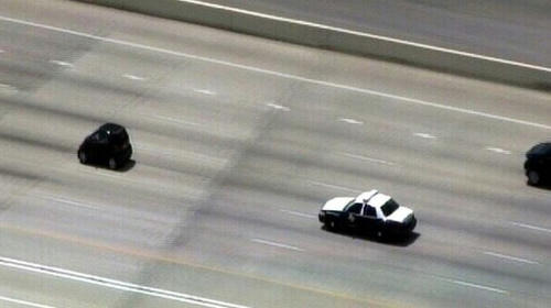 chasing-a-tiny-one.jpg