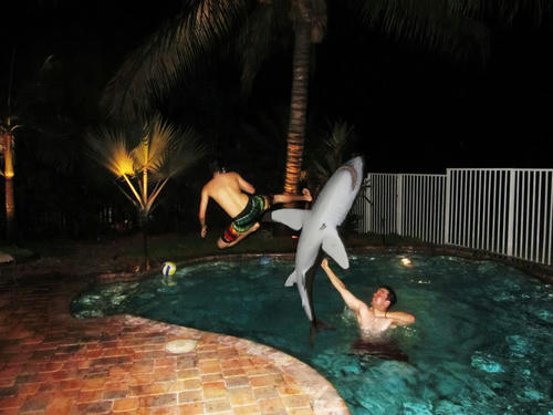 shark-hunting.jpg