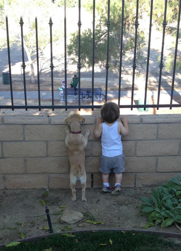 watchers.jpg