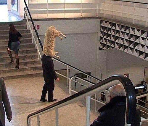 a-man-in-sheeps-clothing.jpg
